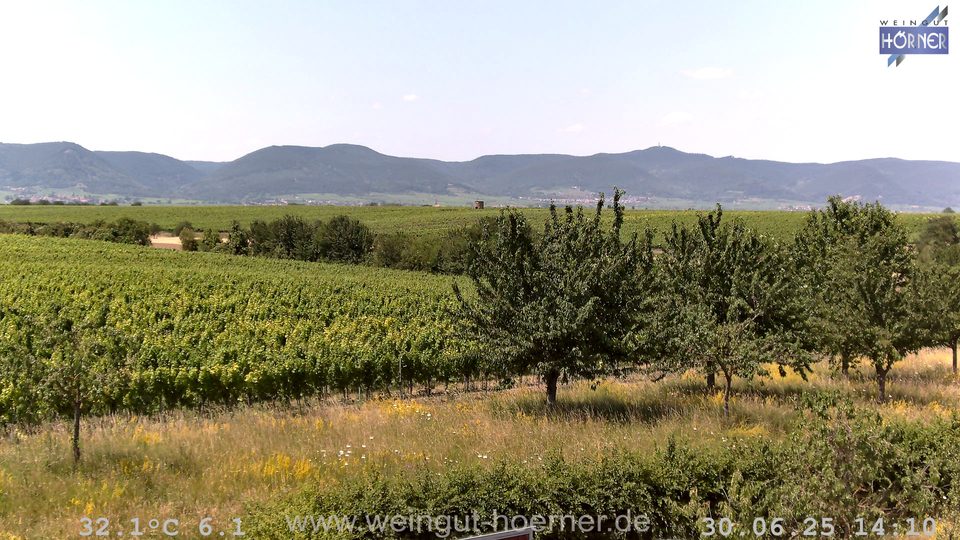 Webcam Weinberge Hochstadt