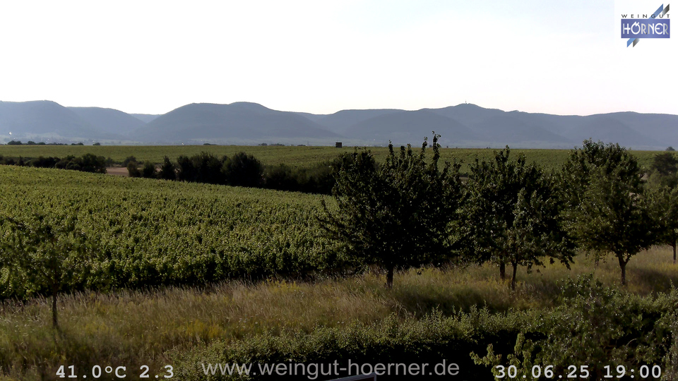 Webcam Weinberge Hochstadt