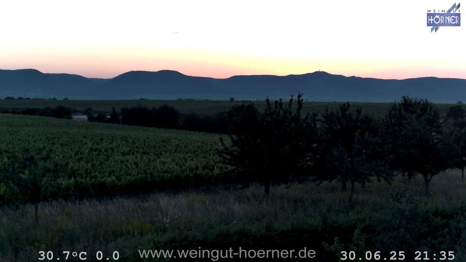 Webcam Weinberge Hochstadt