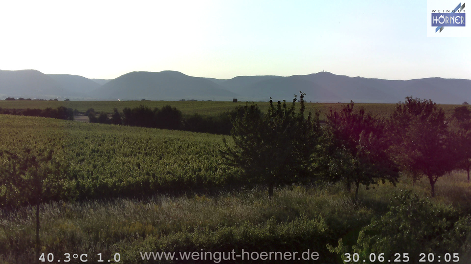 Webcam Weinberge Hochstadt