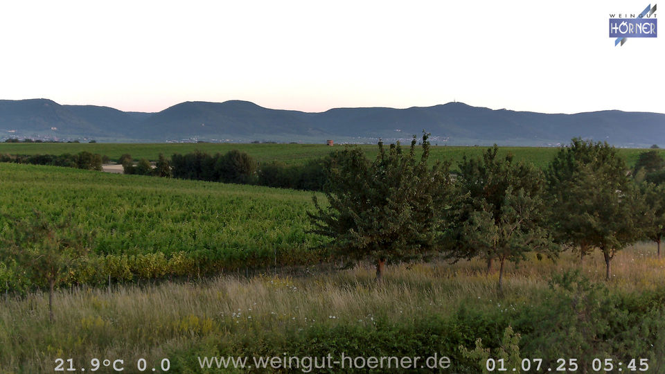 Webcam Weinberge Hochstadt