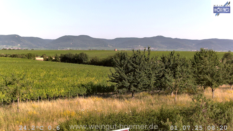 Webcam Weinberge Hochstadt