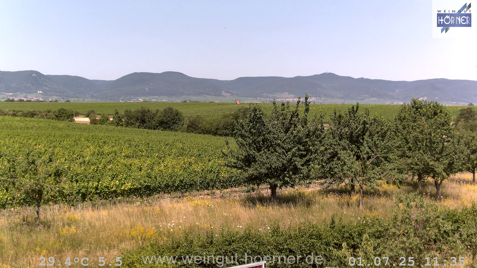 Webcam Weinberge Hochstadt