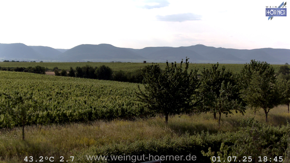 Webcam Weinberge Hochstadt