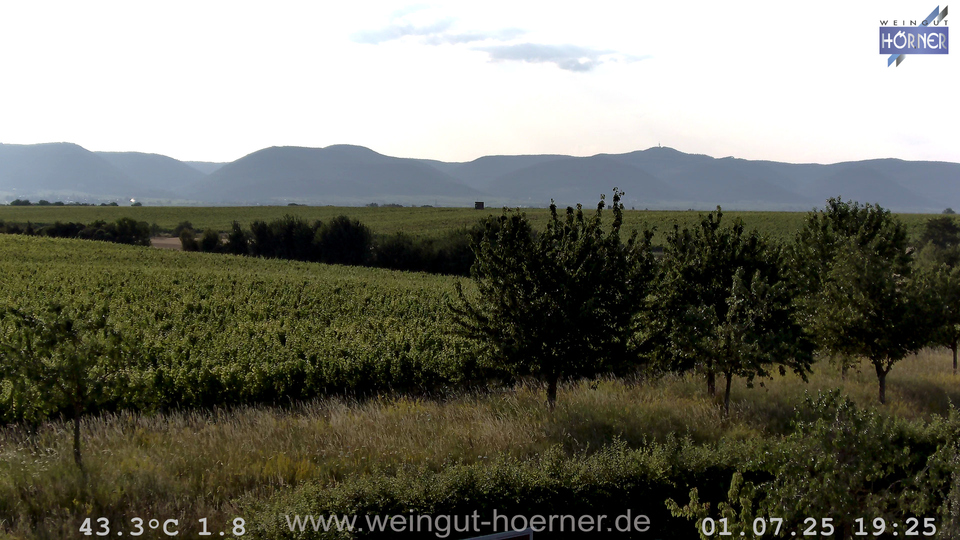 Webcam Weinberge Hochstadt