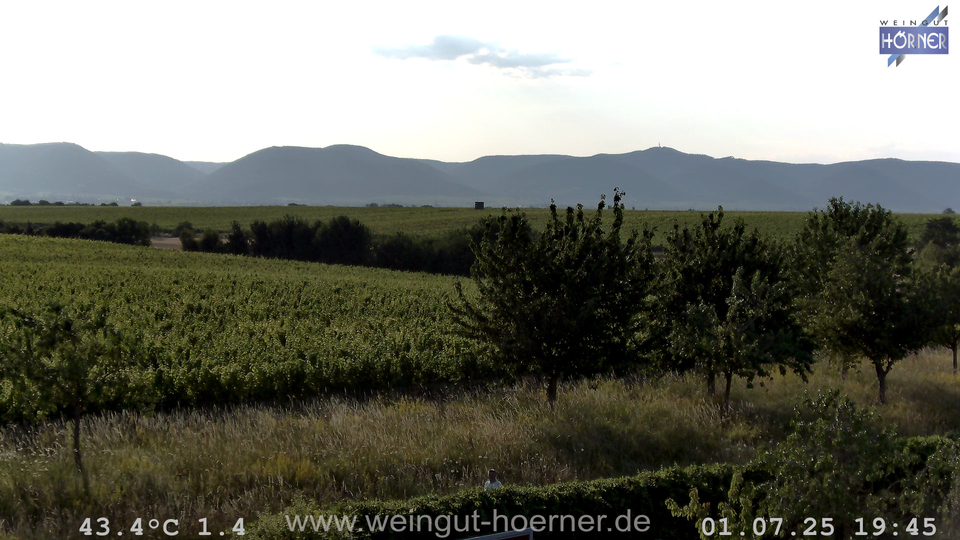 Webcam Weinberge Hochstadt