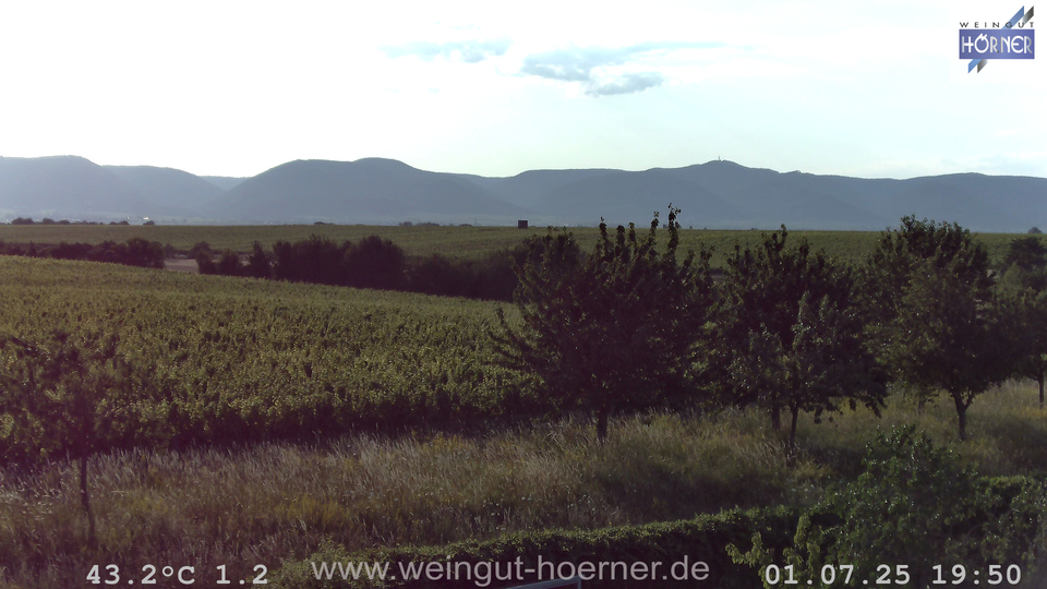Webcam Weinberge Hochstadt