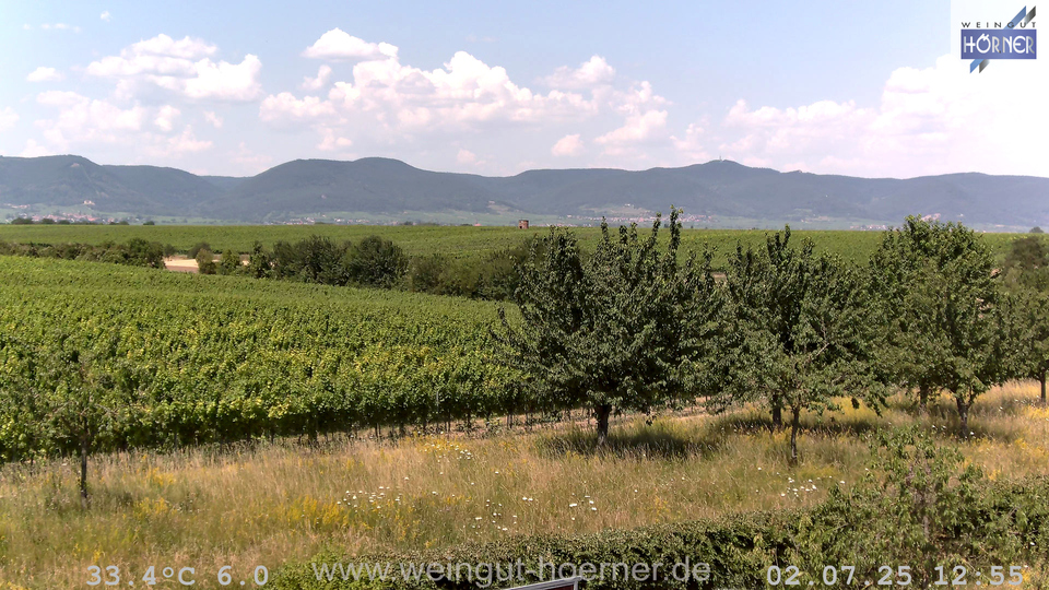 Webcam Weinberge Hochstadt