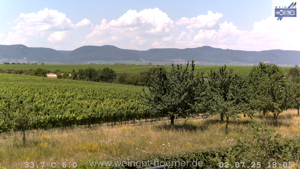 Webcam Weinberge Hochstadt