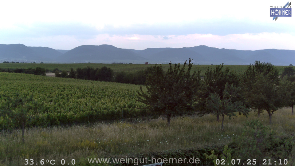 Webcam Weinberge Hochstadt
