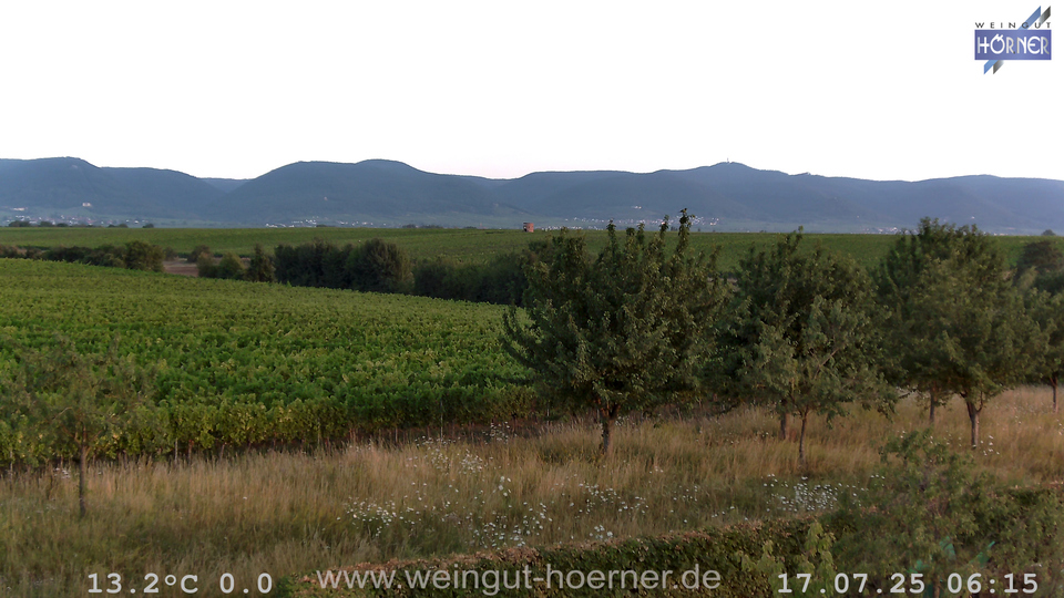 Webcam Weinberge Hochstadt