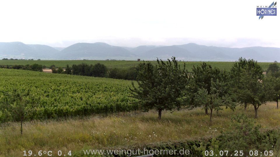 Webcam Weinberge Hochstadt