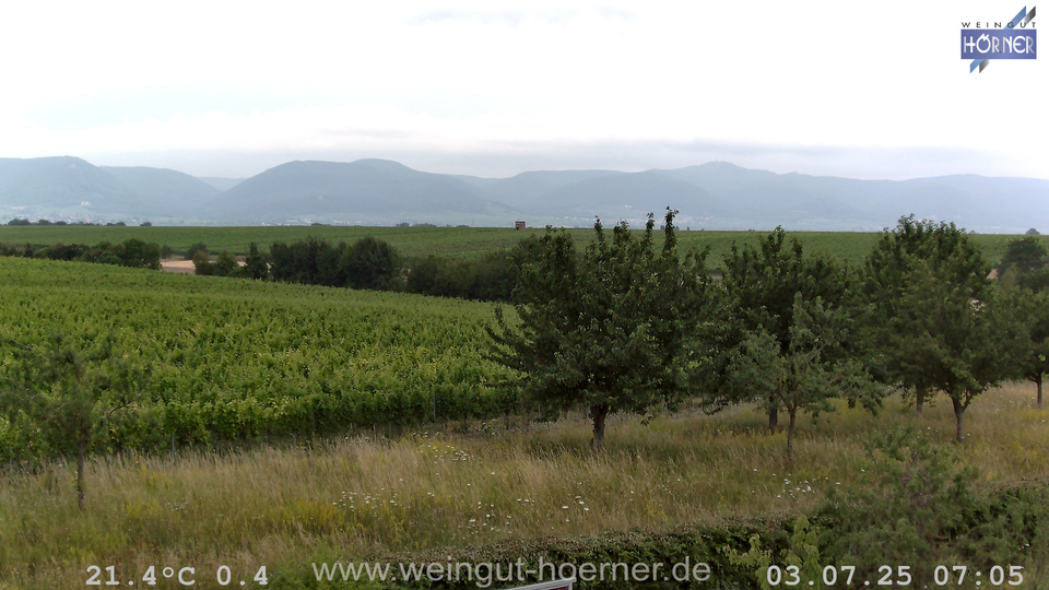 Webcam Weinberge Hochstadt