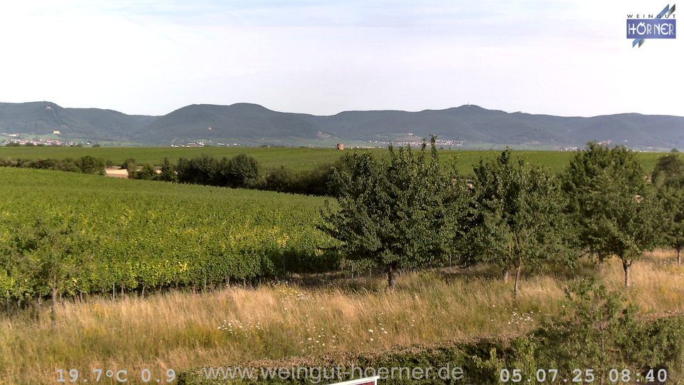 Webcam Weinberge Hochstadt
