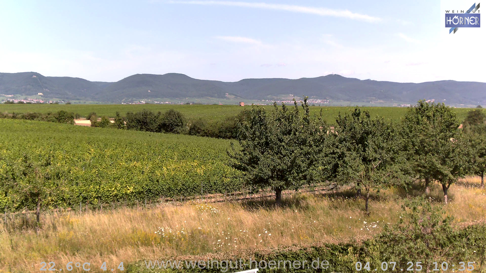 Webcam Weinberge Hochstadt