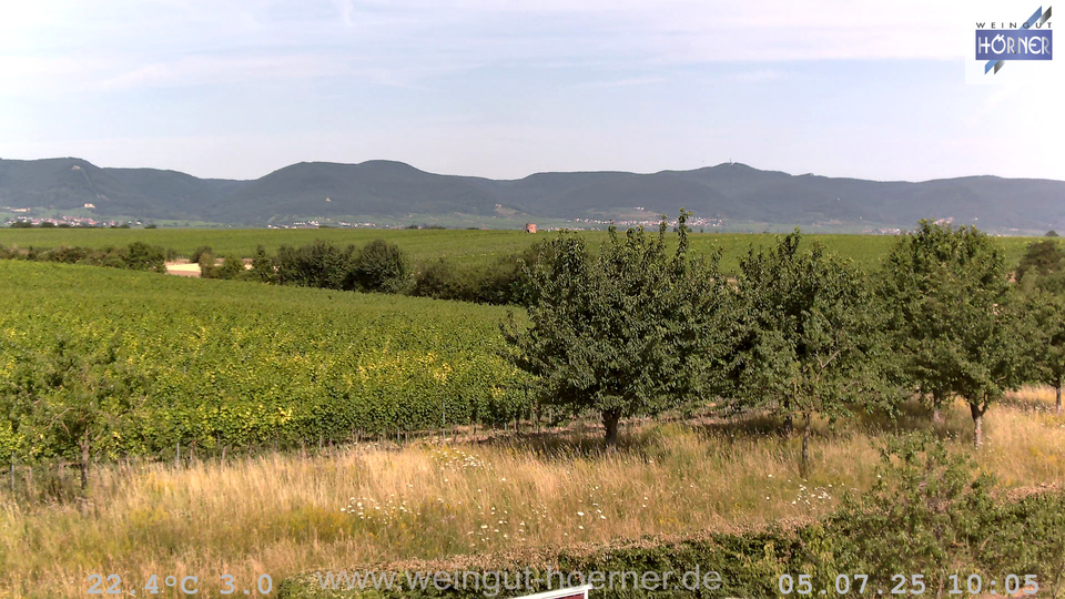 Webcam Weinberge Hochstadt