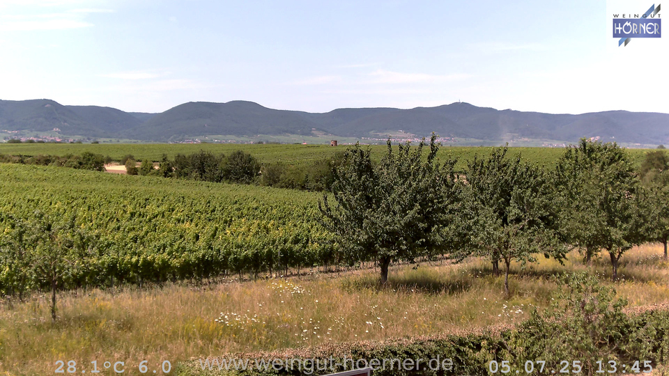 Webcam Weinberge Hochstadt