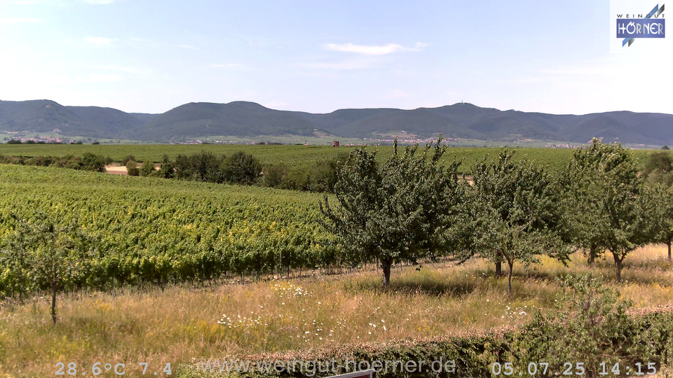 Webcam Weinberge Hochstadt