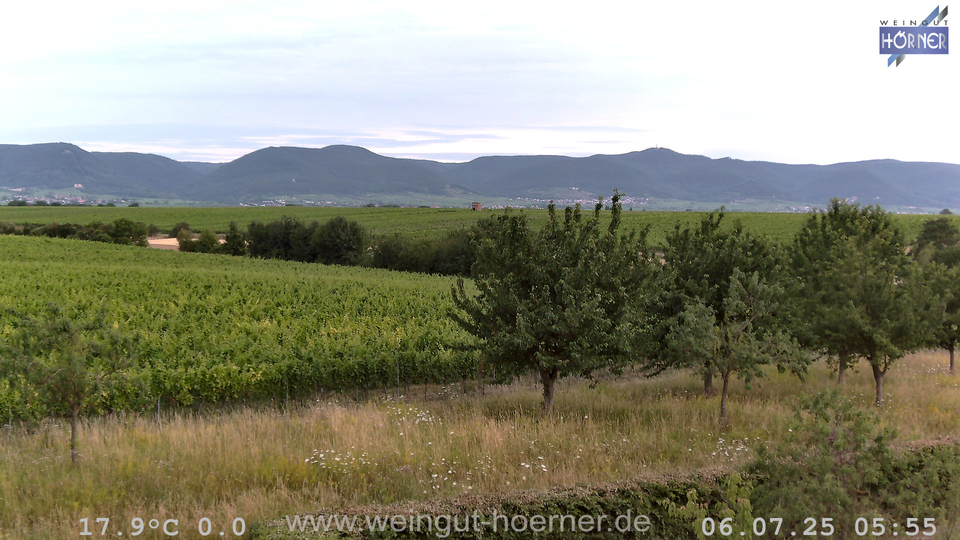 Webcam Weinberge Hochstadt