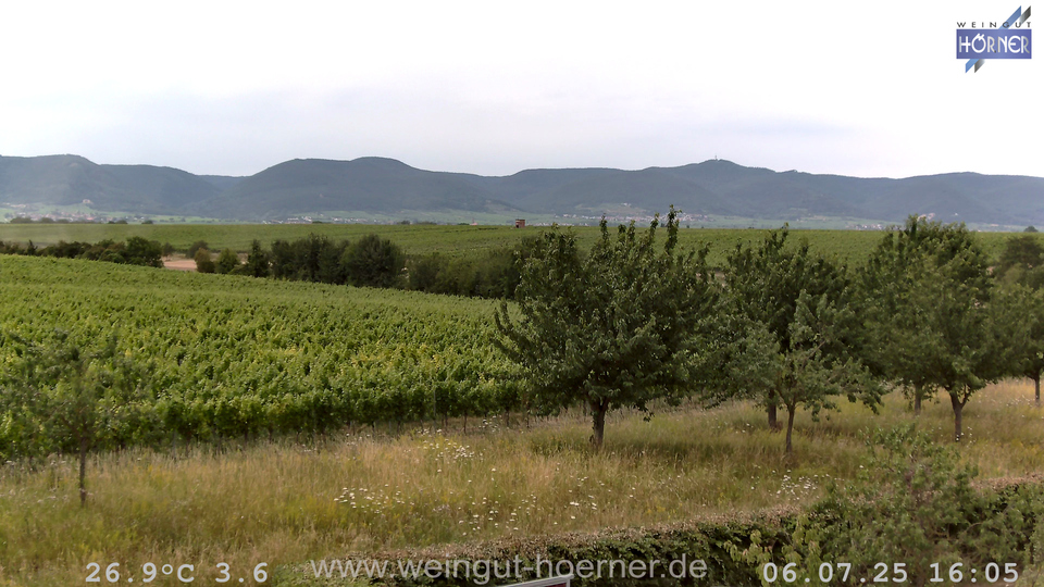 Webcam Weinberge Hochstadt
