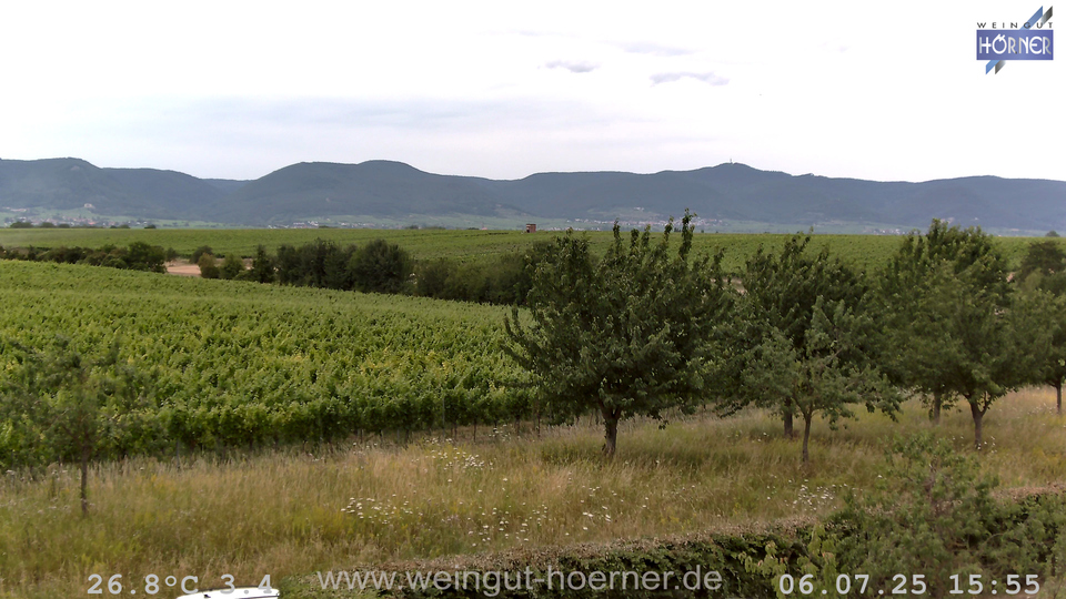 Webcam Weinberge Hochstadt