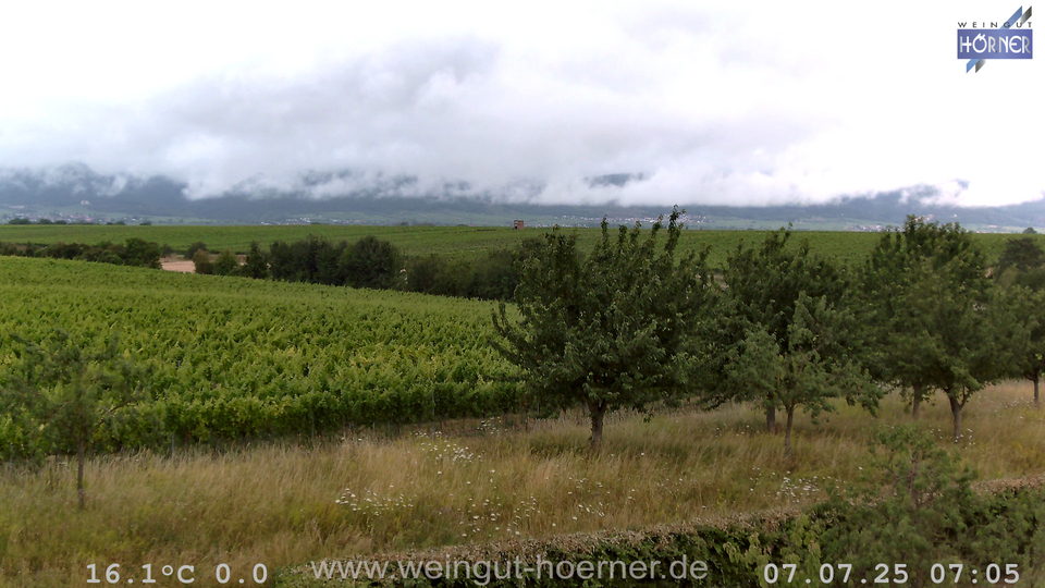 Webcam Weinberge Hochstadt