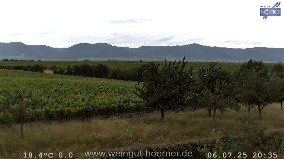 Webcam Weinberge Hochstadt
