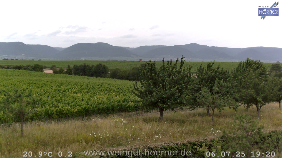 Webcam Weinberge Hochstadt