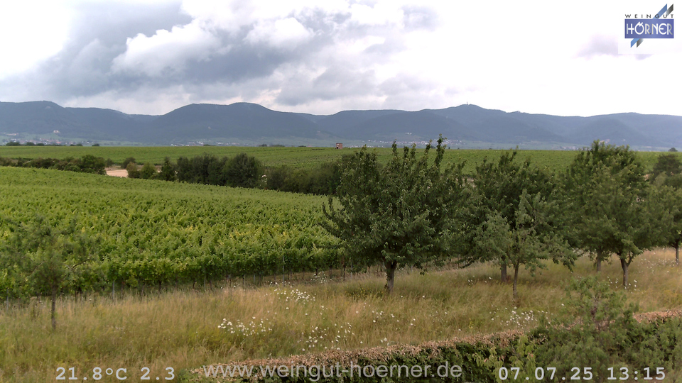 Webcam Weinberge Hochstadt