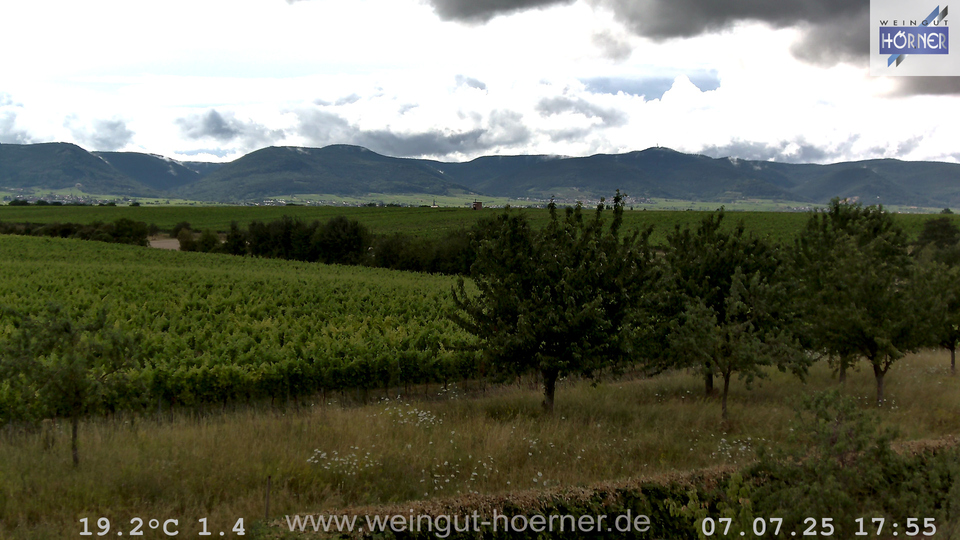 Webcam Weinberge Hochstadt