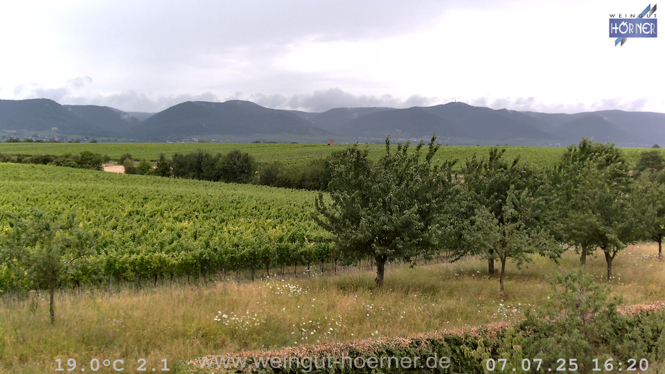 Webcam Weinberge Hochstadt