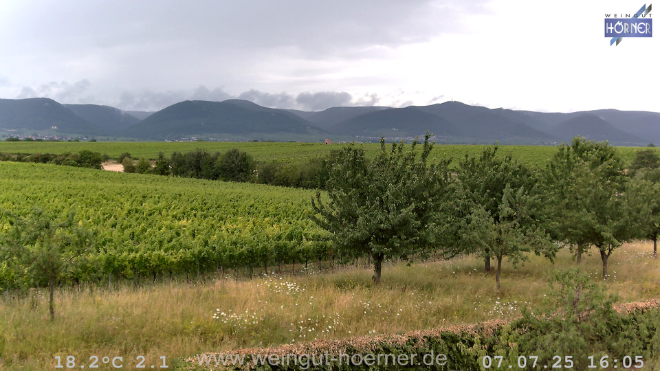 Webcam Weinberge Hochstadt
