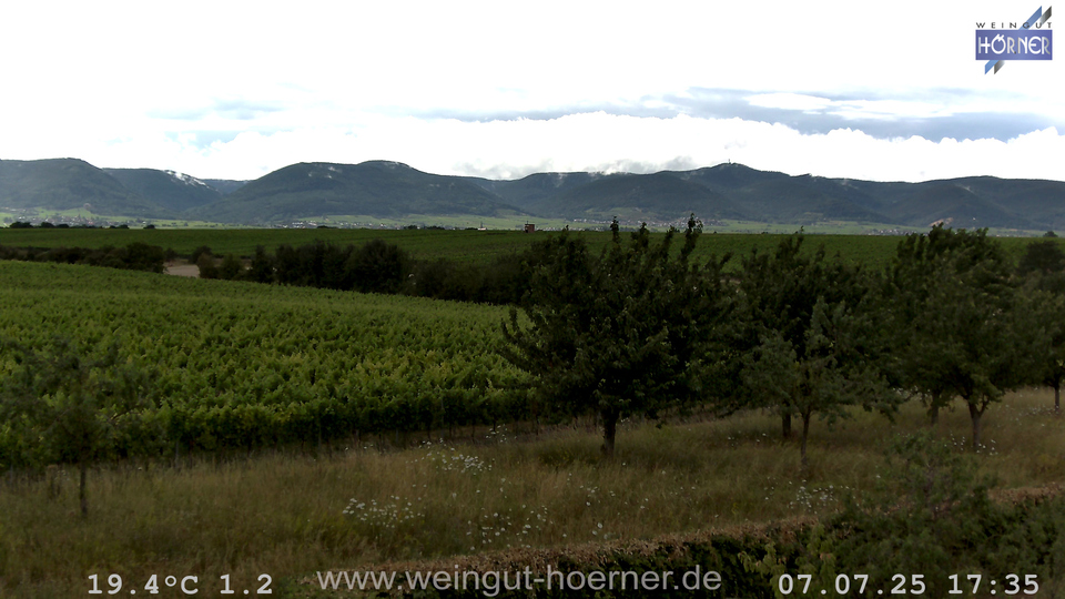 Webcam Weinberge Hochstadt