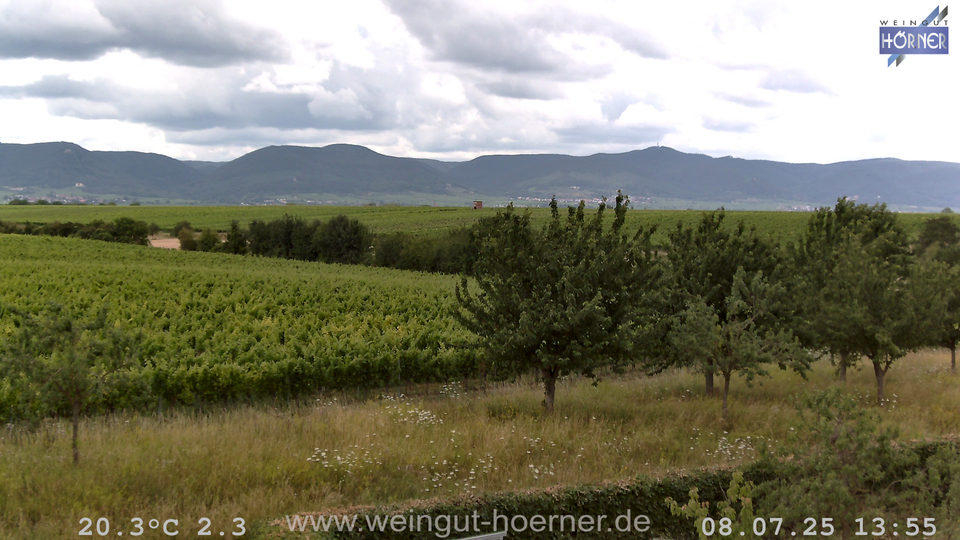 Webcam Weinberge Hochstadt