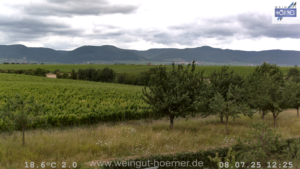 Webcam Weinberge Hochstadt