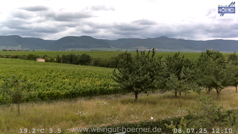 Webcam Weinberge Hochstadt