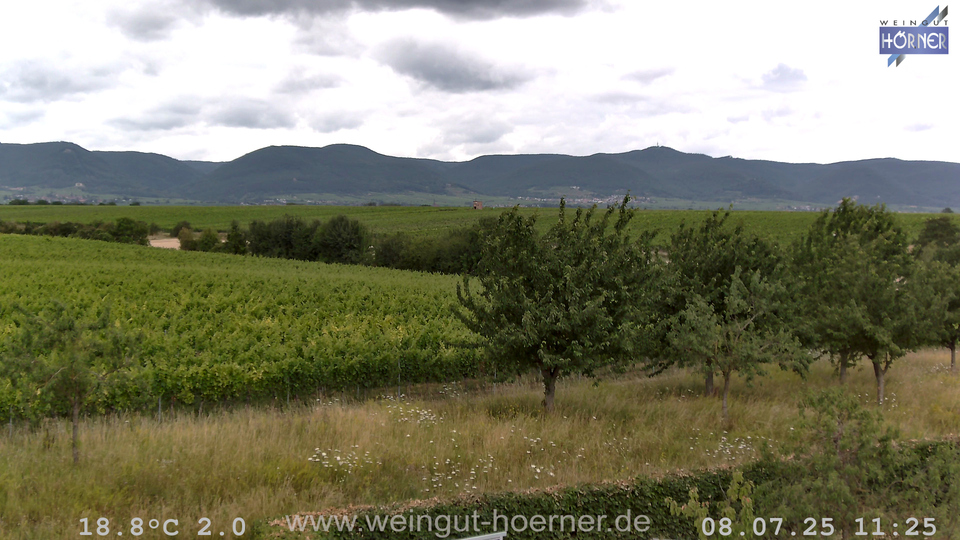 Webcam Weinberge Hochstadt