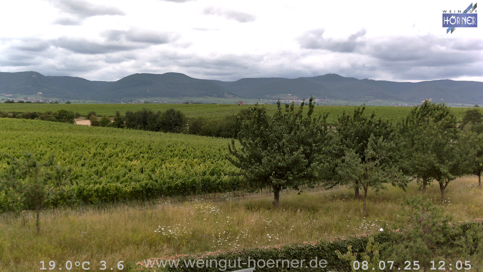 Webcam Weinberge Hochstadt