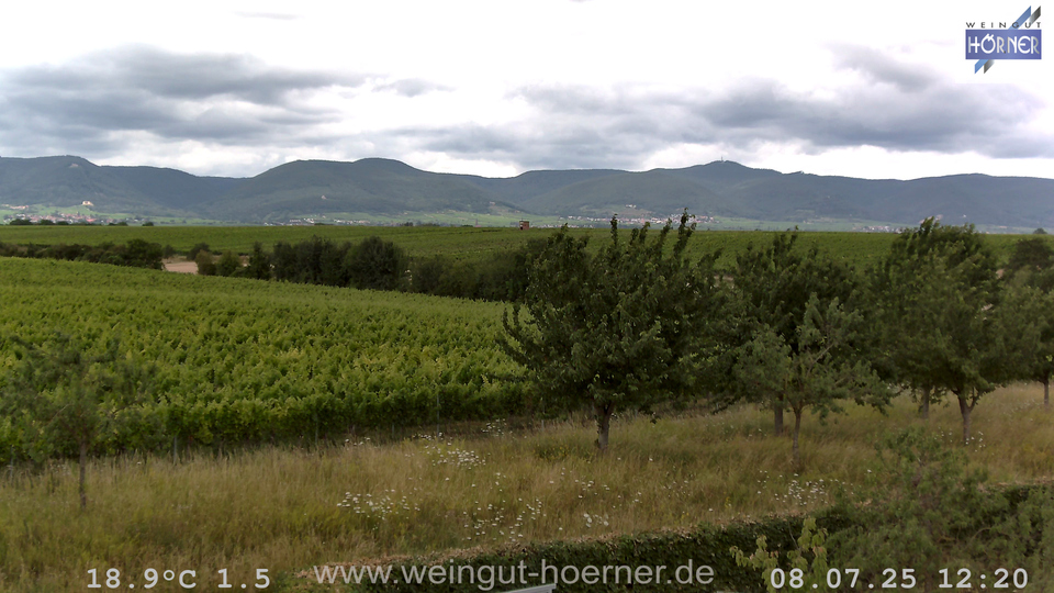 Webcam Weinberge Hochstadt