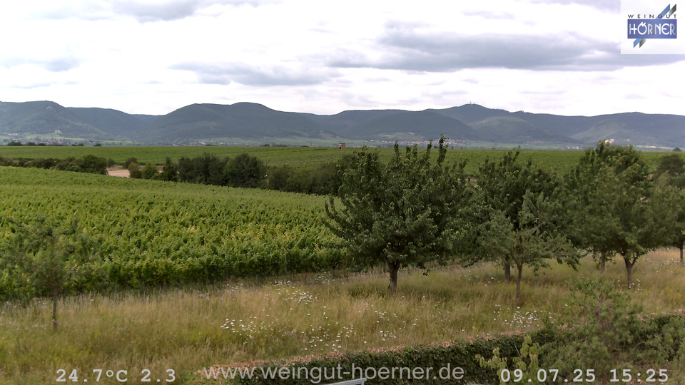 Webcam Weinberge Hochstadt