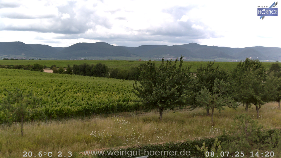 Webcam Weinberge Hochstadt