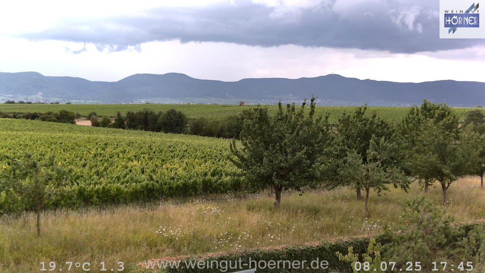 Webcam Weinberge Hochstadt