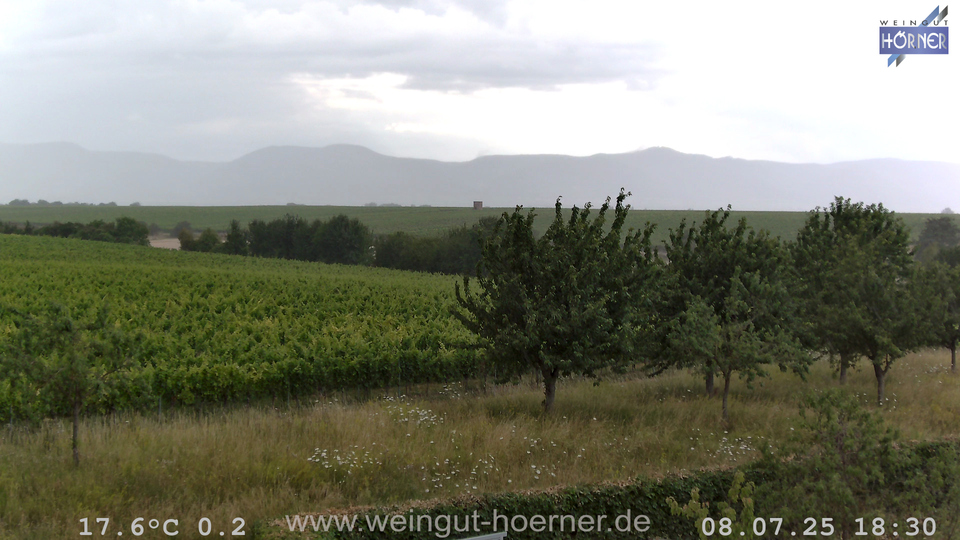 Webcam Weinberge Hochstadt