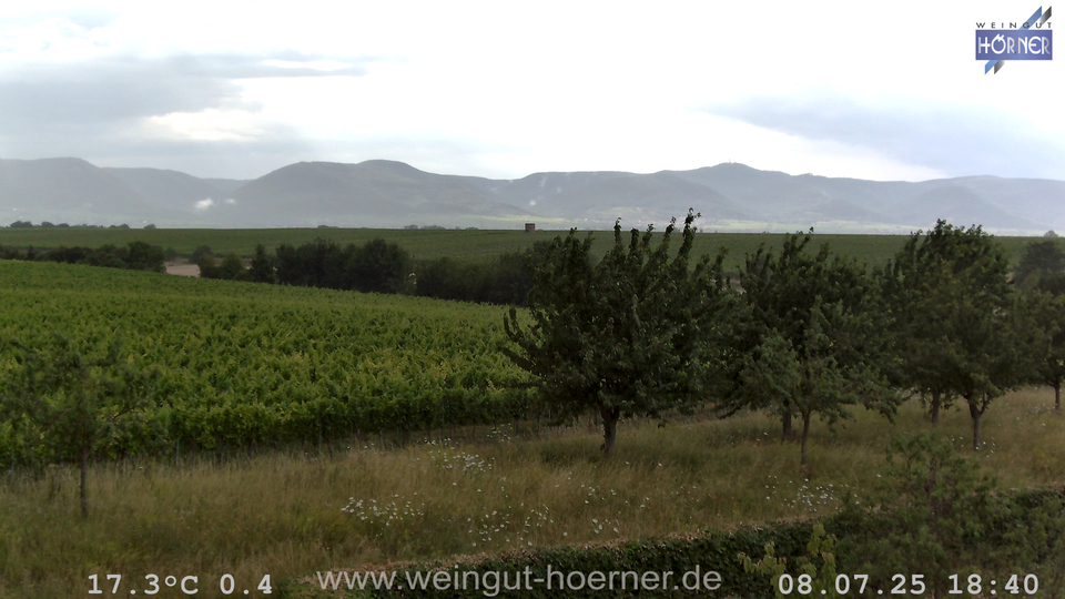 Webcam Weinberge Hochstadt