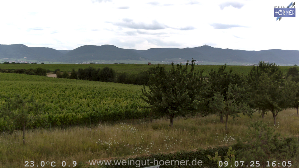 Webcam Weinberge Hochstadt