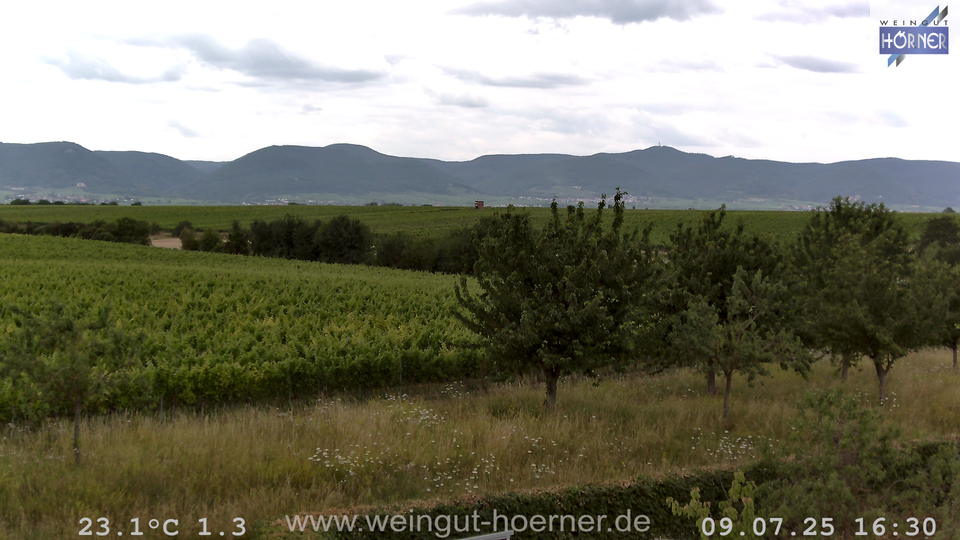Webcam Weinberge Hochstadt