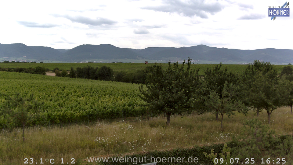 Webcam Weinberge Hochstadt