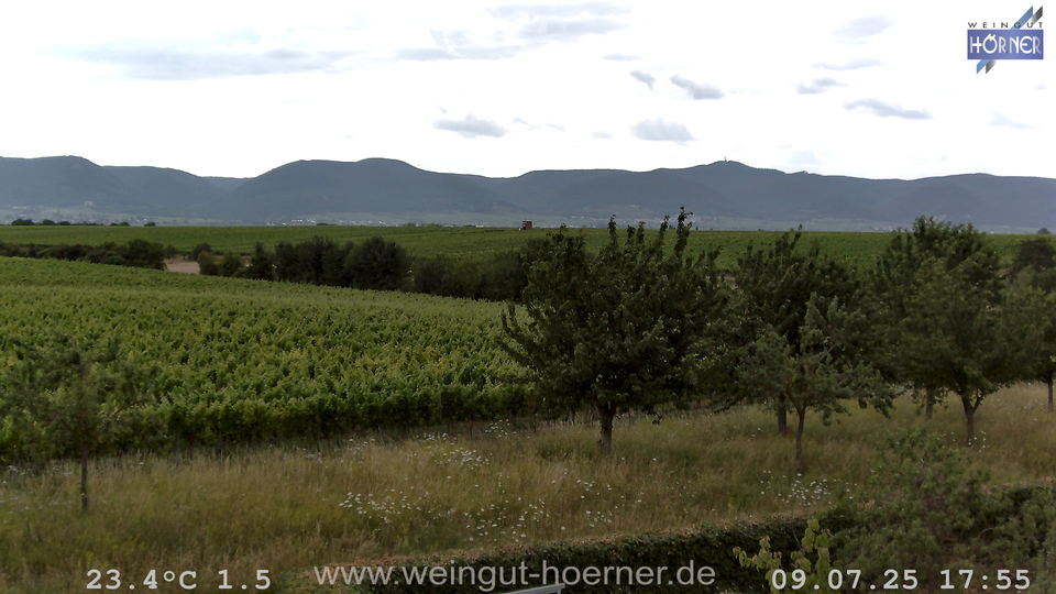 Webcam Weinberge Hochstadt