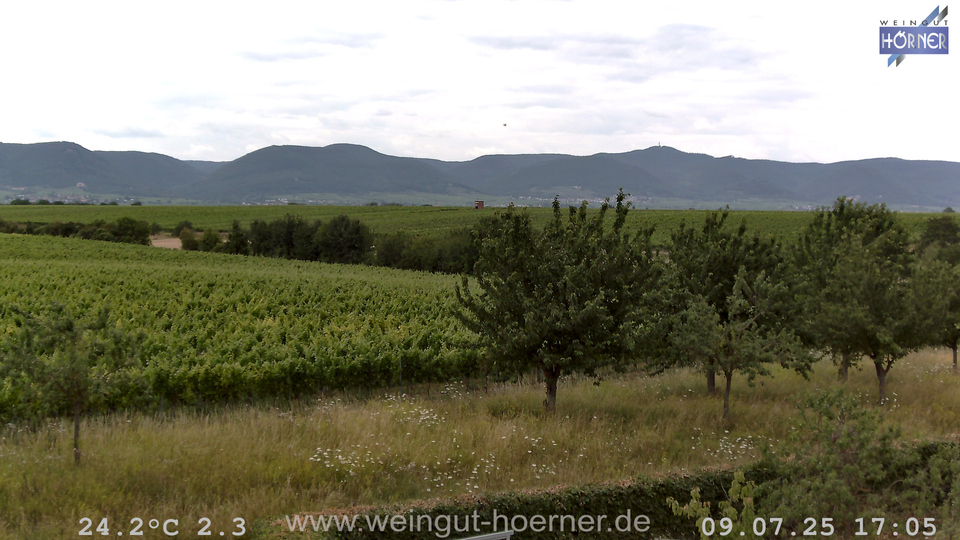 Webcam Weinberge Hochstadt