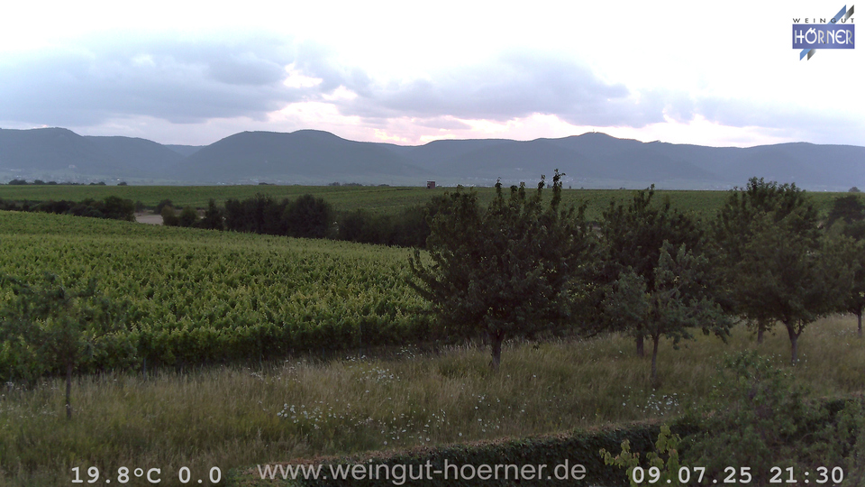 Webcam Weinberge Hochstadt